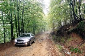 La route idyllique d'Ano Kerasia à Puri, à travers les forêts vierges et les côtes du Pélion.